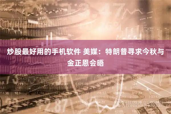 炒股最好用的手机软件 美媒：特朗普寻求今秋与金正恩会晤